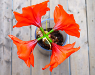 短信网页在线轰炸